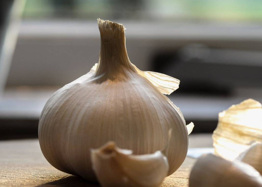 Sarımsağı tuzlu fıstık gibi soymanın sırrı bulundu! Aslında bu kadar basitmiş - Resim: 43